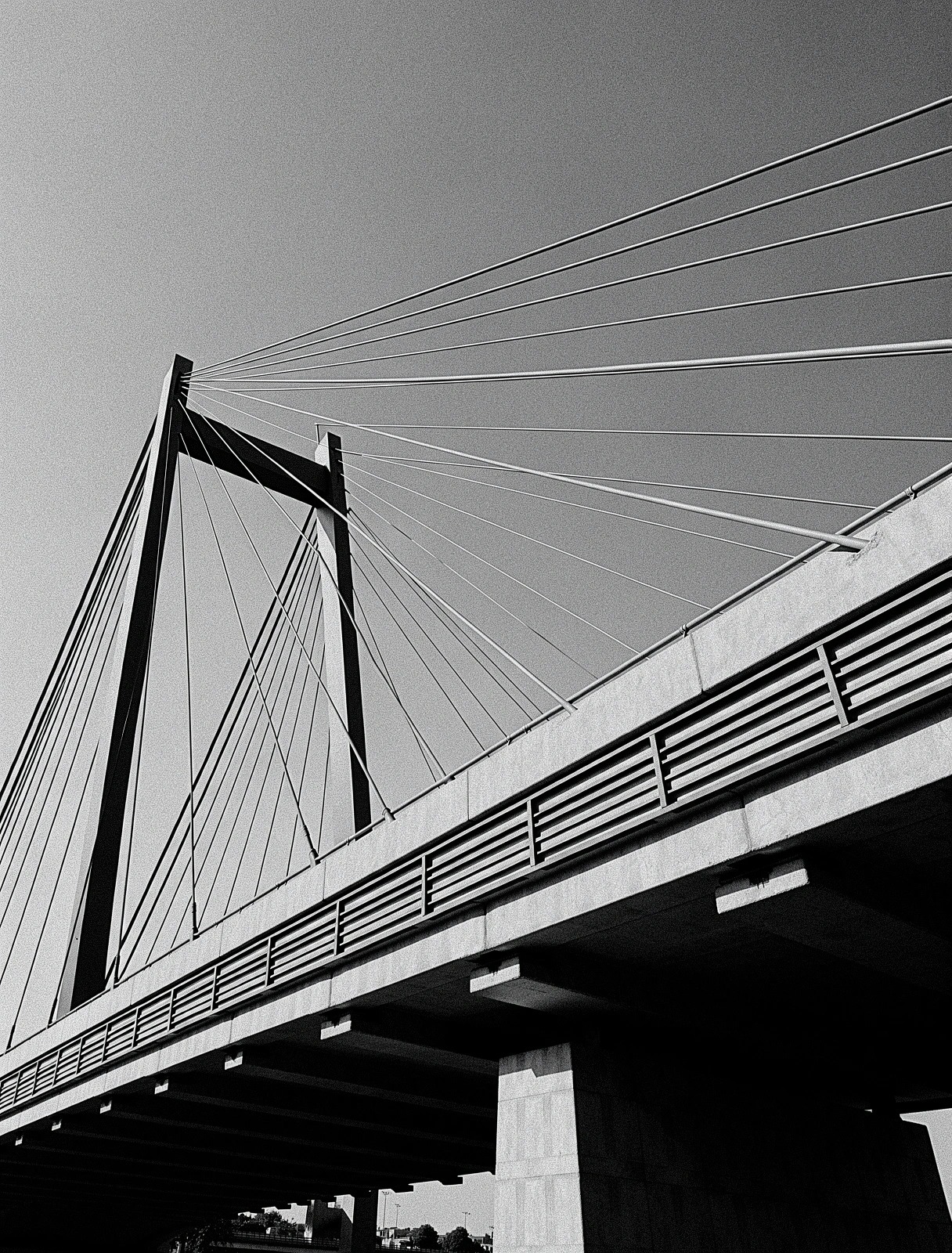 Modern Jakarta architectural geometry